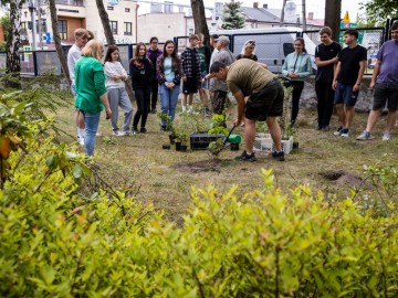 Hotel dla pszczół samotnic w Zespole Szkół Ponadpodstawowych w Przedborzu., 